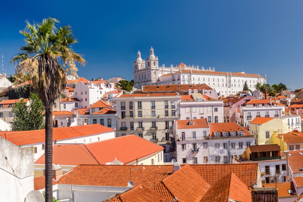 A high-angle panoramic view of Alfama's red-tiled rooftops in Lisbon, featuring a tall palm tree in the foreground and the white dome of the National Pantheon under a clear blue sky.