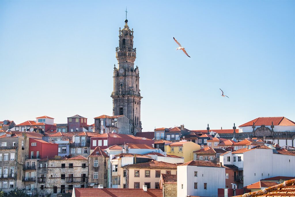 The tall Baroque stone tower of Clérigos rising above the traditional red-tiled roofs of Porto with seagulls flying in a clear blue sky