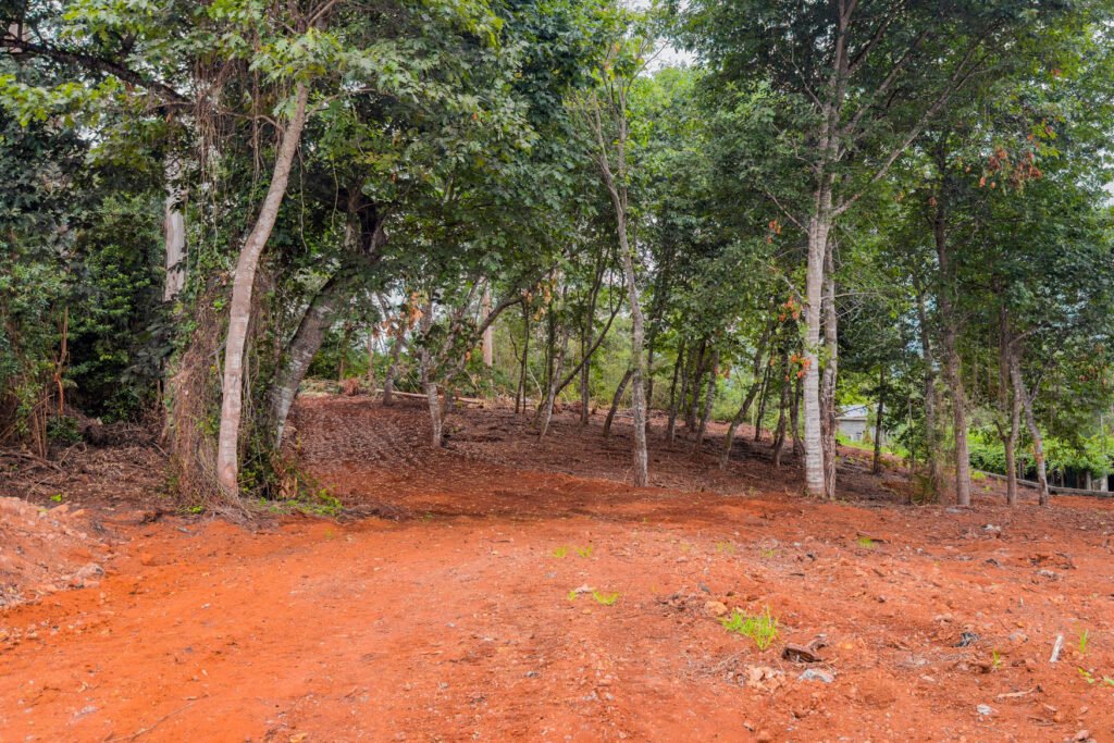 Ground level view of cleared land surrounded by native trees ideal for eco tourism lodge in Santana