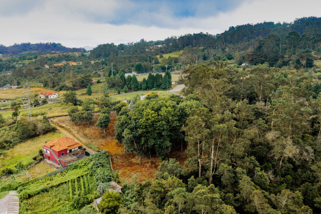 Panoramic mountain and rural greenery views surrounding 5090 m2 land plot for sale in Santana Madeira
